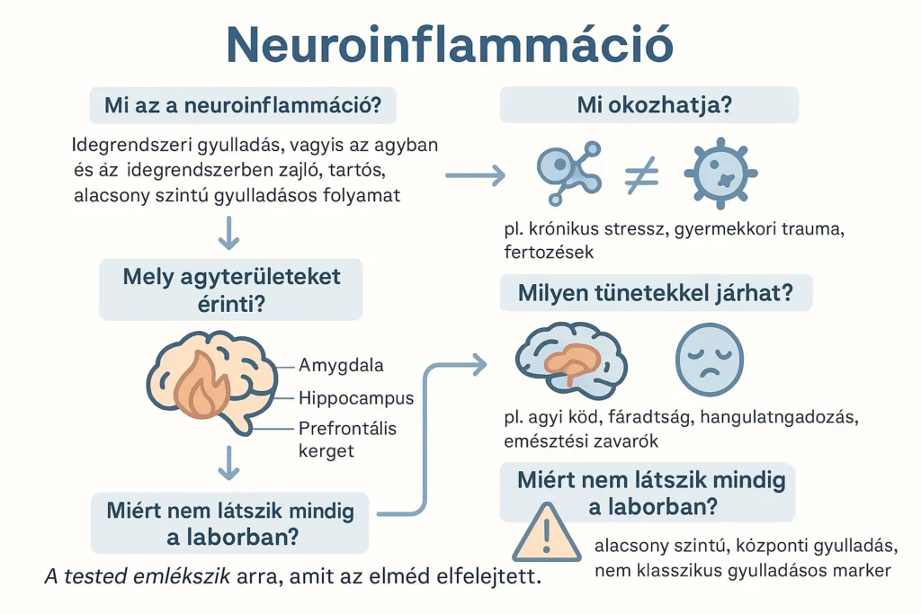 koncsek krisztina kronikus betegseg szakerto gyulladas gyermekkor traumak online konzultacio