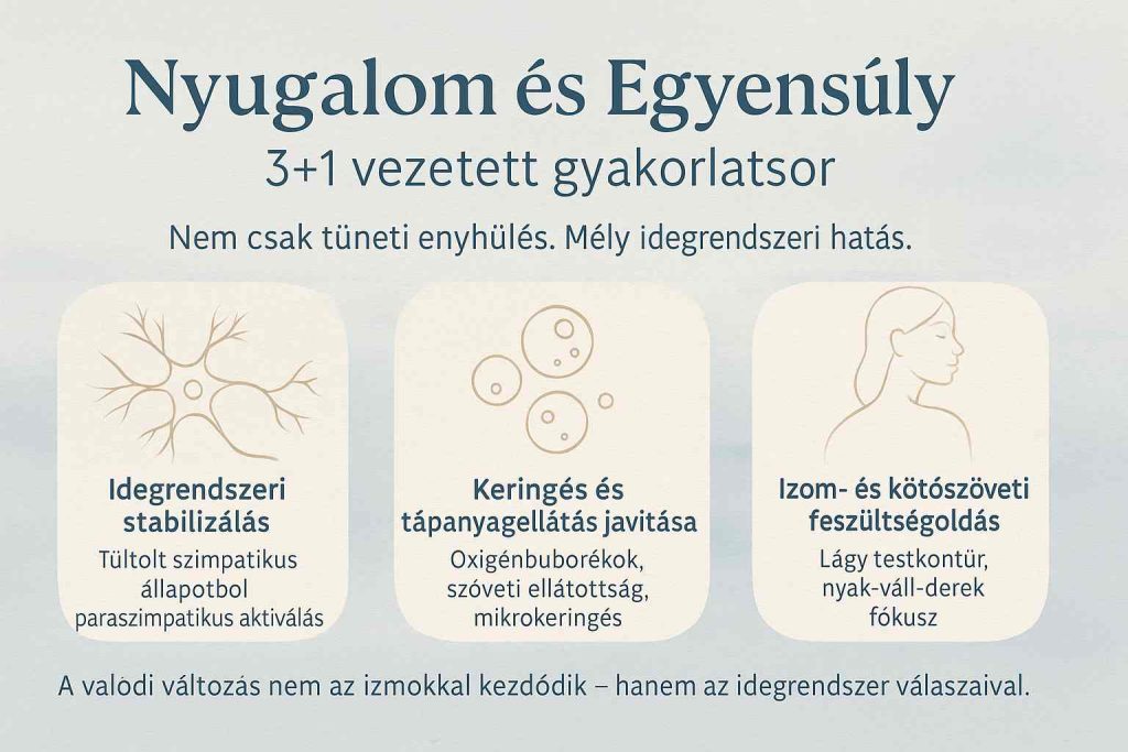koncsek krisztina kronikus betegseg specilaista nyugalom egyensuky hancsomgag